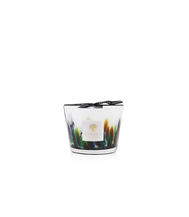 Candela "Rainforest Amazonia" Max 10 MAX10RFA  BAOBAB COLLECTION 