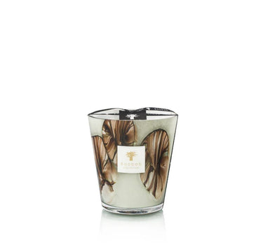 BAOBAB COLLECTION MAX16OAN