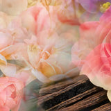 Refill Fragranza Ambiente "Petali di Rose" 500ml FRV0030E 500ML VRANJES FIRENZE 