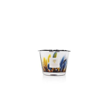 Candela "Rainforest Mayumbe" Max10 MAX10RFM  BAOBAB COLLECTION 