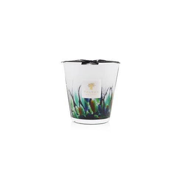 Candela "Rainforest Amazonia" Max16 MAX16RFA  BAOBAB COLLECTION 