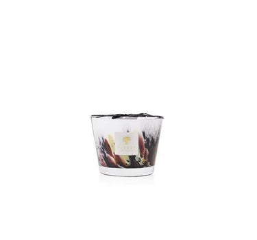 Candela "Rainforest Tanjung" Max 10 MAX10RFT  BAOBAB COLLECTION 