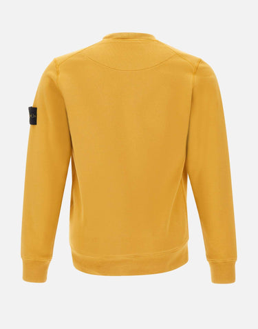 Felpa in cotone biologico 6100060S0051 V0034 STONE ISLAND 