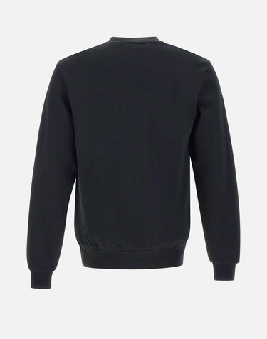 Felpa in cotone SH9801 031 LACOSTE 