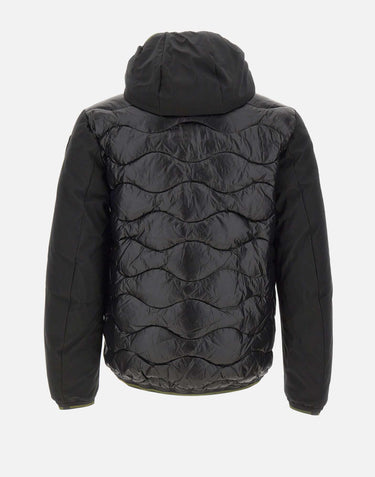"Albert" 25WBLUC08078 006355999 BLAUER 
