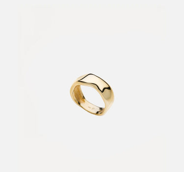 Anello "Roots" RBR01 G14 FERSERA 